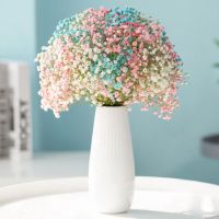 云南满天星干花大束勿忘我家居摆设小清新装饰鲜花真花ins干花束