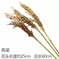 麦穗干花花束开业大麦客厅田园装饰稻穗摆件插花拍摄道具
