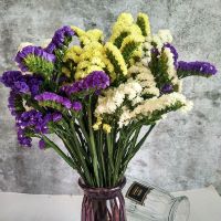 云南干花花束勿忘我大束情人草水晶草满天星家居摆设装饰鲜花