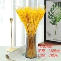麦穗干花花束黄金大麦开业大麦花篮田园装饰拍摄道具稻穗真花