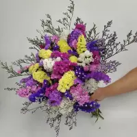 云南勿忘我干花花束 真花客厅装饰花束家居摆设小清新ins摆件装饰