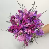 云南勿忘我干花花束 真花客厅装饰花束家居摆设小清新ins摆件装饰