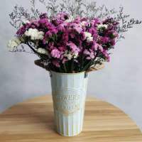 云南勿忘我干花花束买一斤送一斤满天星干花客厅摆件花束真花