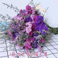 云南勿忘我干花花束买一斤送一斤满天星干花客厅摆件花束真花