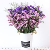 云南勿忘我干花花束买一斤送一斤满天星干花客厅摆件花束真花