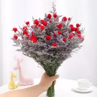 云南干花花束真花组合招干花情人草混搭花束家居摆设装饰花