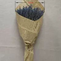 薰衣草干花花束花束香包客厅装饰ins小清新礼物