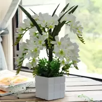 红掌仿真植物假花蝴蝶兰套装花卉家居装饰品绢花客厅摆件花艺盆景