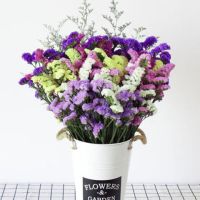 云南满天星勿忘我干花束大束 客厅装饰品摆件真花花卉鲜花插花