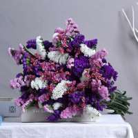 云南满天星勿忘我干花束大束 客厅装饰品摆件真花花卉鲜花插花