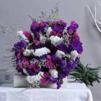 云南满天星勿忘我干花束大束 客厅装饰品摆件真花花卉鲜花插花