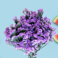 干花勿忘我云南昆明基地满天星干花配材装饰花束勿忘我永生花