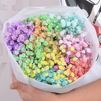 云南勿忘我鲜花满天星干花花束大束真花论斤散家居装饰品摆件