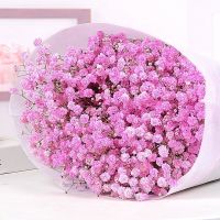 云南勿忘我鲜花满天星干花花束大束真花论斤散家居装饰品摆件