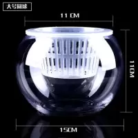 水养植物玻璃瓶水培白掌圆球花盆 深定植篮吸水玻璃花盆器皿
