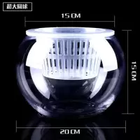 水养植物玻璃瓶水培白掌圆球花盆 深定植篮吸水玻璃花盆器皿