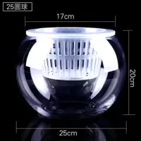 水养植物玻璃瓶水培白掌圆球花盆 深定植篮吸水玻璃花盆器皿
