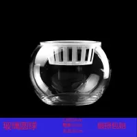 水养植物玻璃瓶水培白掌圆球花盆 深定植篮吸水玻璃花盆器皿