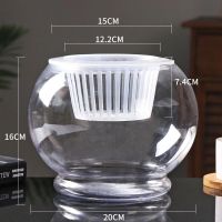 透明玻璃花瓶 绿萝水培花瓶 简约花瓶 圆形水培鱼缸 金鱼缸