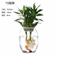透明玻璃花瓶 绿萝水培花瓶 简约花瓶 圆形水培鱼缸 金鱼缸