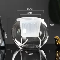 水培植物玻璃瓶水养绿萝花瓶花盆大号透明玻璃圆球鱼缸器皿容器