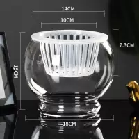 水培植物玻璃瓶水养绿萝花瓶花盆大号透明玻璃圆球鱼缸器皿容器