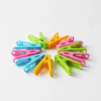 塑料晾衣夹内衣内裤袜子夹衣架晒被子夹子晾防风大小塑料夹