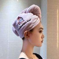 干发帽刺绣强吸女可爱新款速干女长发学生成人吸水浴帽包头巾