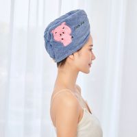 干发帽强吸水浴帽洗头发速干毛巾包头女加厚成人长发擦头巾