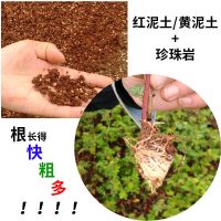 珍珠岩颗粒多肉兰花养花园艺营养土颗粒土大包装