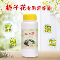 栀子花肥料肥栀子花营养液家用酸性有机土开花