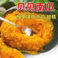 绿贝贝迷你高产甜糯小南瓜种子板栗味阳台盆栽庭院四季播蔬菜种子