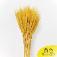 麦穗干花花束开业花束客厅阳台办公室大麦田园装饰礼品道具花