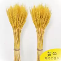 麦穗干花花束开业花束客厅阳台办公室大麦田园装饰礼品道具花