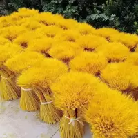 麦穗干花花束开业花束客厅阳台办公室大麦田园装饰礼品道具花