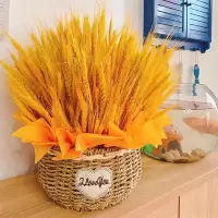 麦穗干花花束开业花束客厅阳台办公室大麦田园装饰礼品道具花