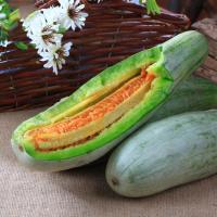 羊角蜜甜瓜种子山东寿光水果蔬菜种子高产四季播种绿宝石香瓜种子