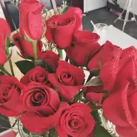 基地直发山东基地玫瑰花束花真花鲜花非洲菊鲜花速递礼物
