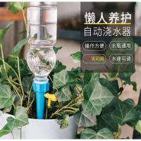 十个装饮料瓶口浇花器园艺工具盆栽出差自动定时渗水器