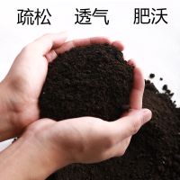 长白山花土种菜土阳台花土阳台种菜多肉通用花土通用营养土