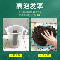 椰砖有机养花肥料营养土椰土椰糠多肉土植物通用土种菜土花盆换土