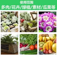 营养通用型土壤种花种菜育苗卉绿植多肉绿萝君子兰园艺花肥土