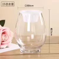水培植物玻璃瓶 绿萝花瓶花盆玻璃圆球水养鱼缸器皿容器送栏