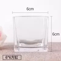 水培植物玻璃瓶 绿萝花瓶花盆玻璃圆球水养鱼缸器皿容器送栏