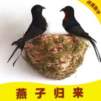 仿真燕子小鸟燕窝燕巢鸟窝春季美陈装饰品小燕子软装饰品仿真小鸟