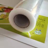 大卷pe保鲜膜家用蔬菜水果美容美发市保鲜膜