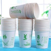 牛年春节加厚 一次性杯子纸杯家用商用办公茶水杯整箱