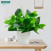 仿真绿萝植物盆栽套装家居摆件装饰挂墙盆栽盆景塑料假花室内桌面