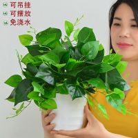 仿真绿萝植物盆栽套装家居摆件装饰挂墙盆栽盆景塑料假花室内桌面