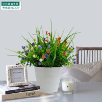 仿真绿萝植物盆栽套装家居摆件装饰挂墙盆栽盆景塑料假花室内桌面